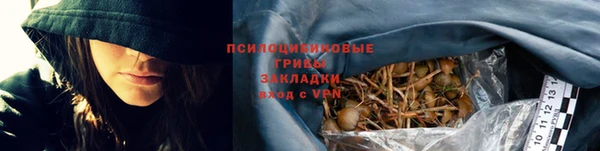 шишки Верхнеуральск