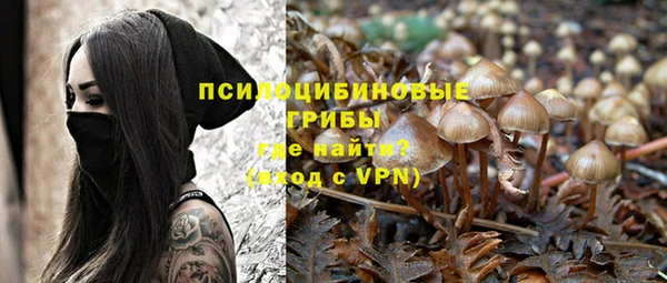 шишки Верхнеуральск