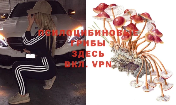 МДПВ Верхний Тагил