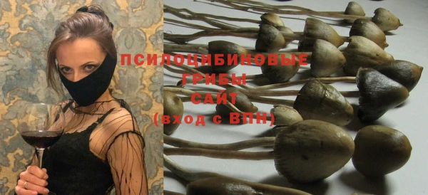 МДПВ Верхний Тагил