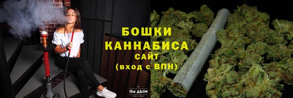 МДПВ Верхний Тагил